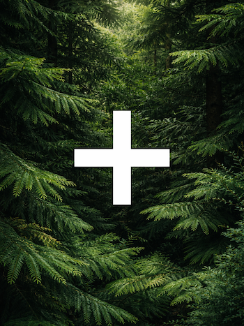 Werde Teil unseres Teams