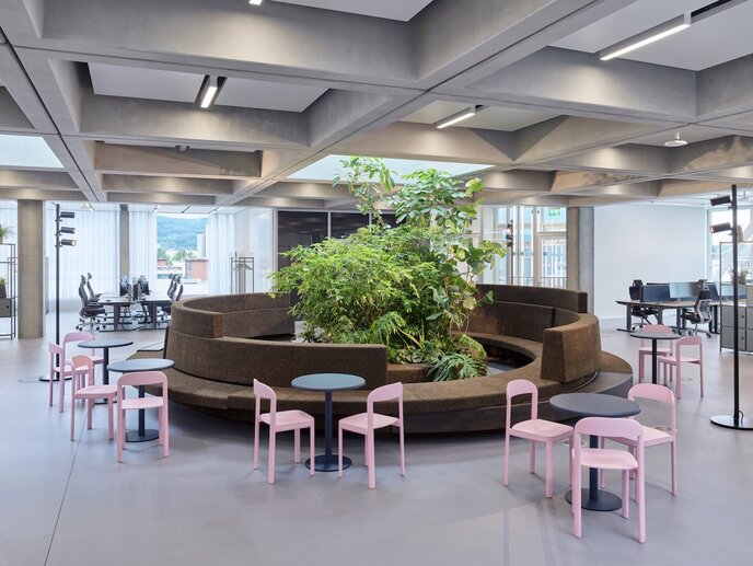 Roche Haus Fritz, Genzach-Wylen